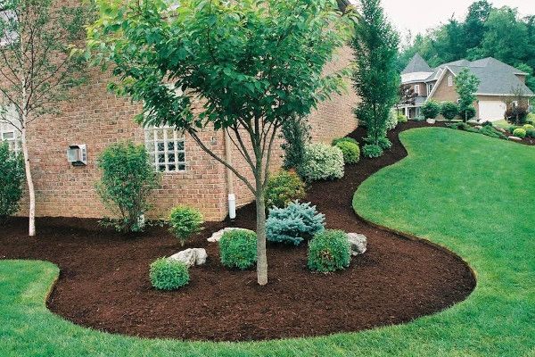 mulch-keeps-plants-hydrated